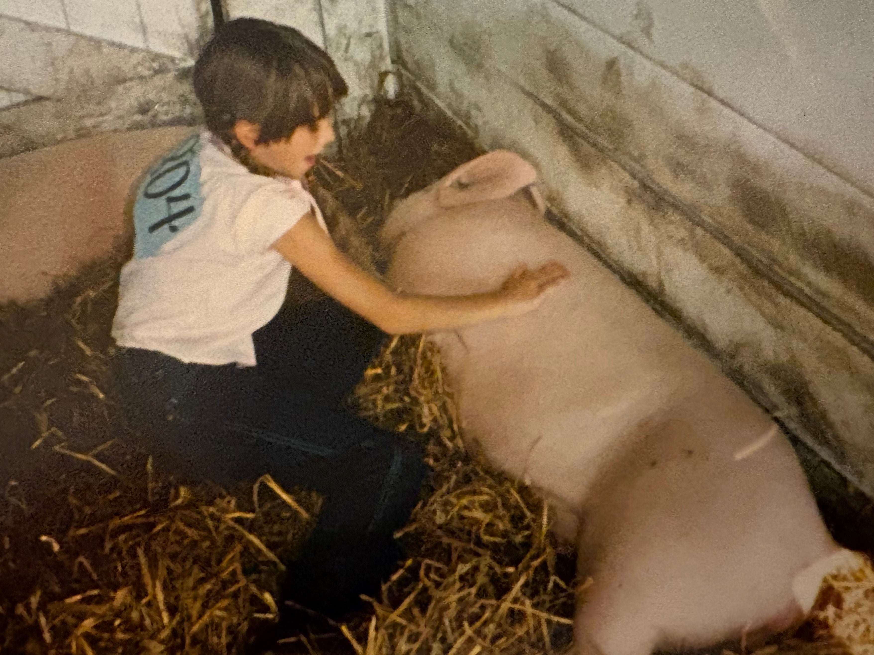 What a Pig Show Taught Me About Talking About Death: From farm fairs to end-of-life care, finding connection through curiosity and courage.