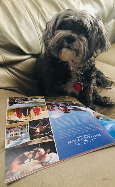 You Know Your Dog Well But What Happens When You Die?