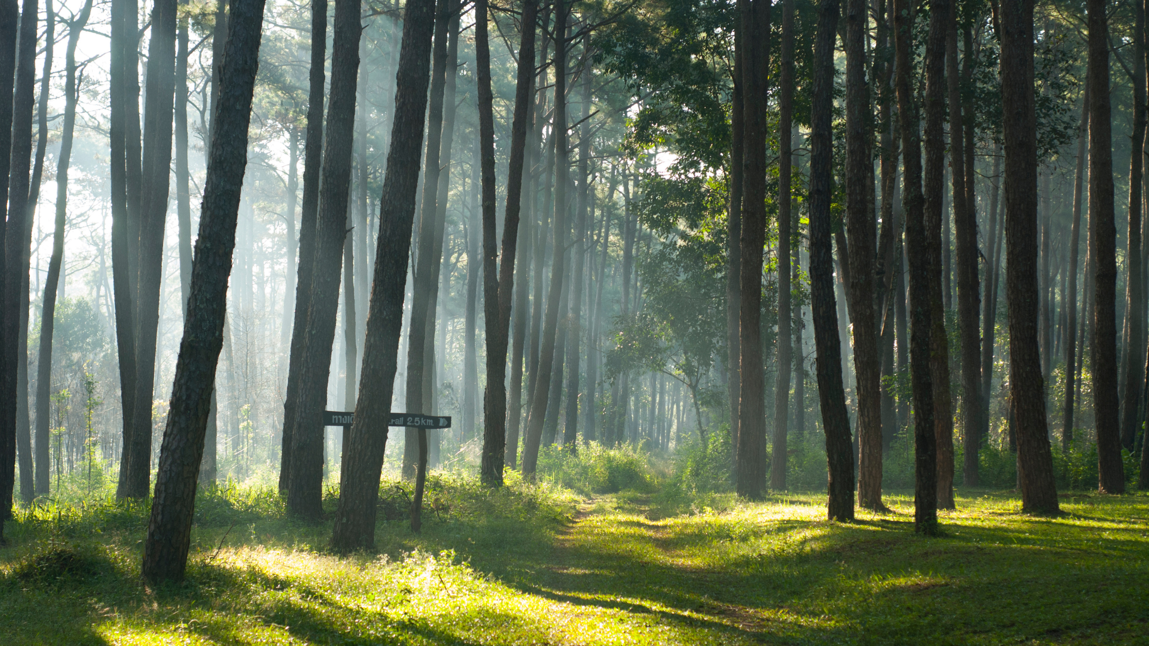 End-of-Life Professionals Can Help The Dying Feel Less Alone
