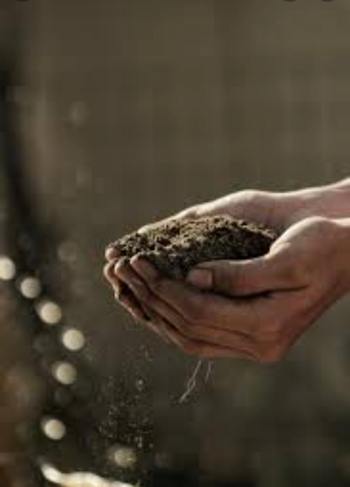 Human Composting. Want The Dirt?
