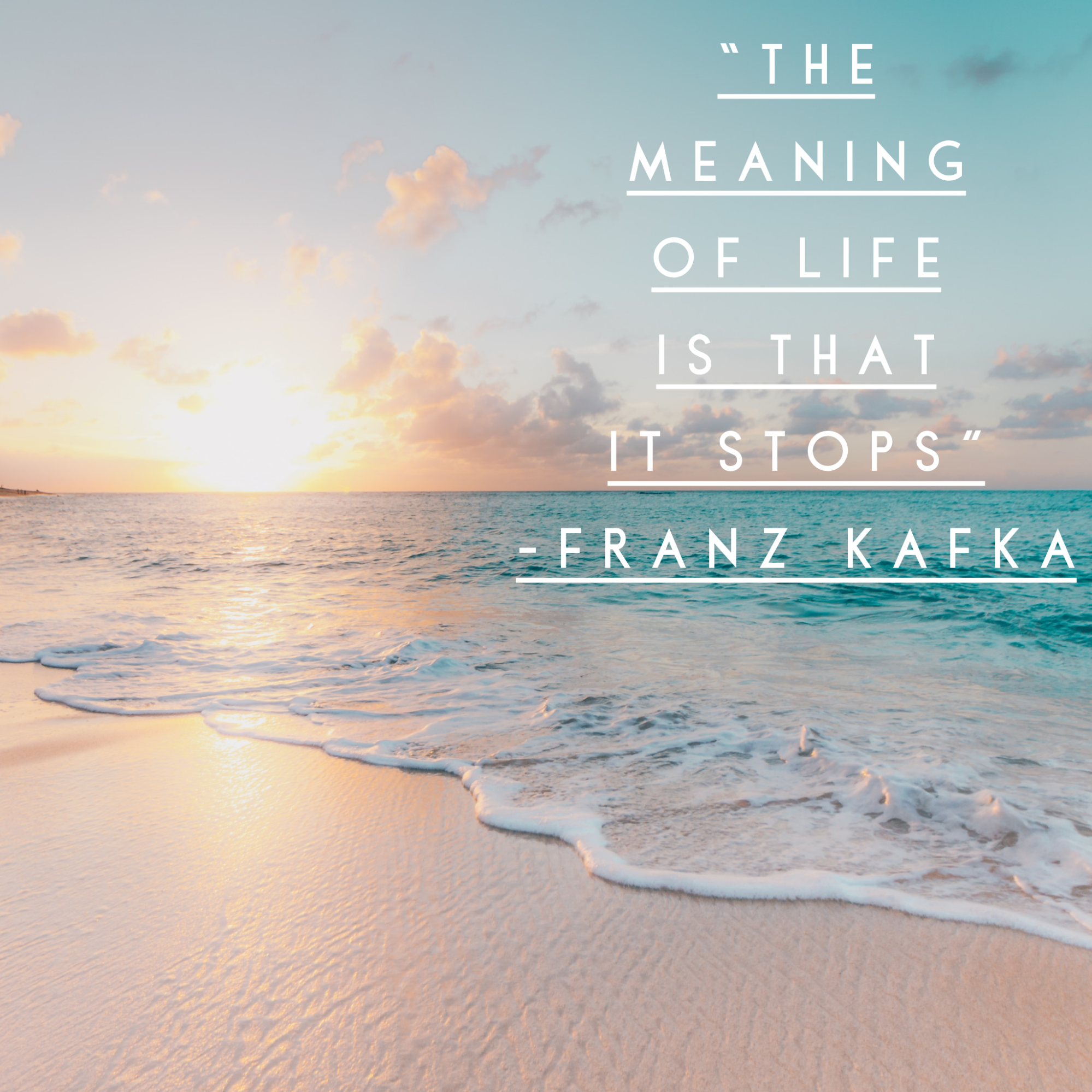The Meaning of Life is That it Stops